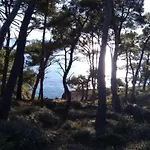 In Near Center Waterfront Apartment *
