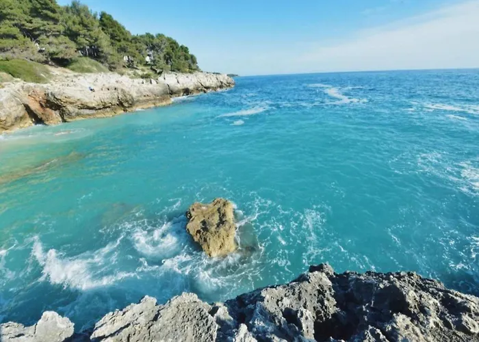 In Near Center Waterfront