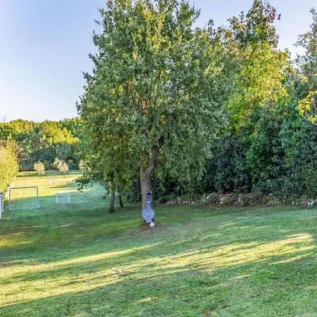 Appartamento In Near Center Waterfront Pola