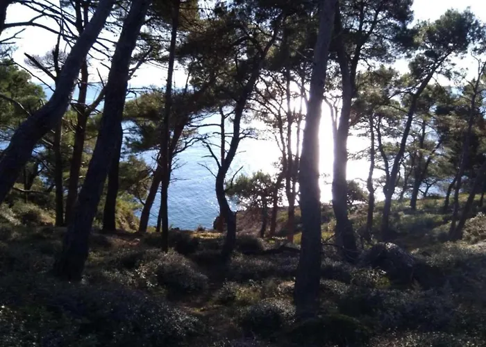 In Near Center Waterfront Lejlighed *