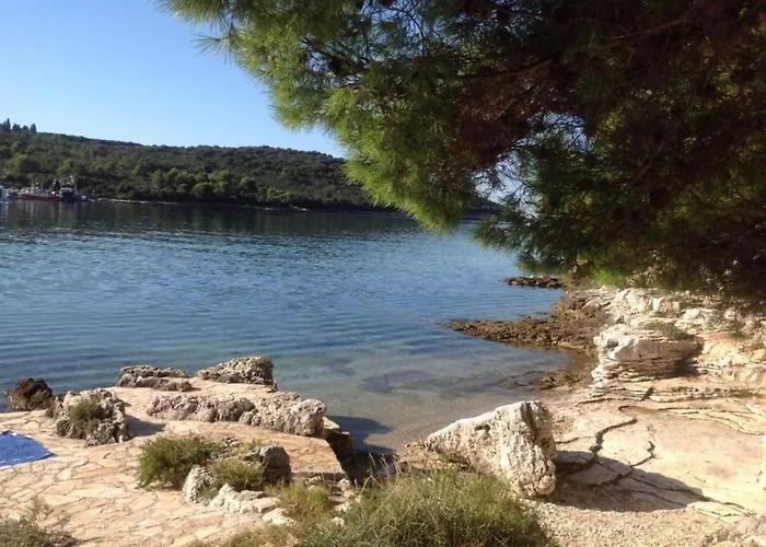 In Near Center Waterfront Lejlighed