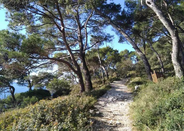 In Near Center Waterfront